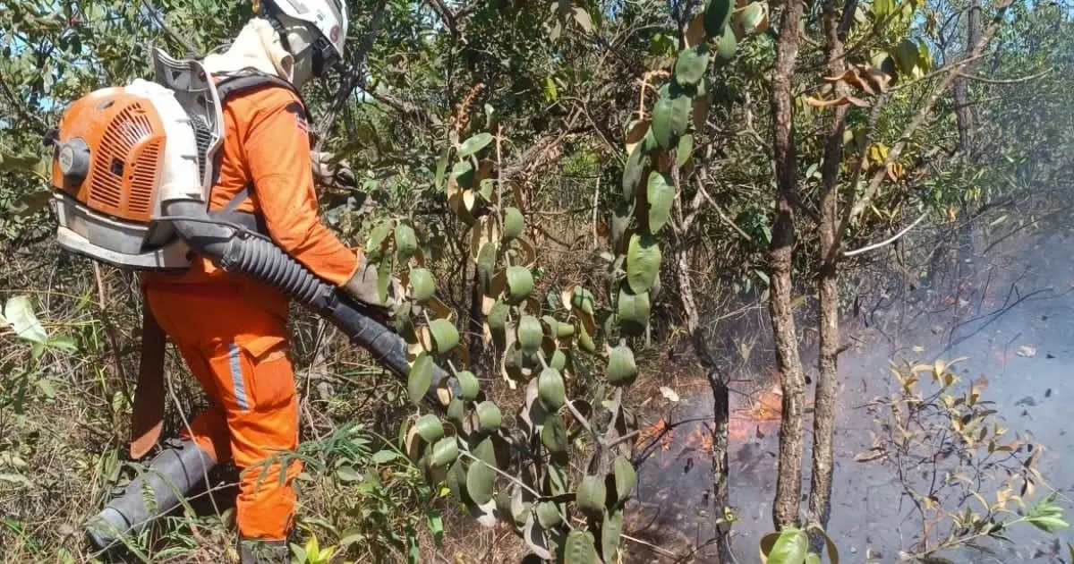 Bombeiros intensificam combate a incêndios no Extremo Oeste da Bahia em operação florestal