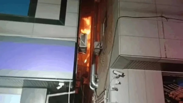 Mulher tenta matar barata com “lança-chamas” e provoca incêndio fatal na Coreia do Sul