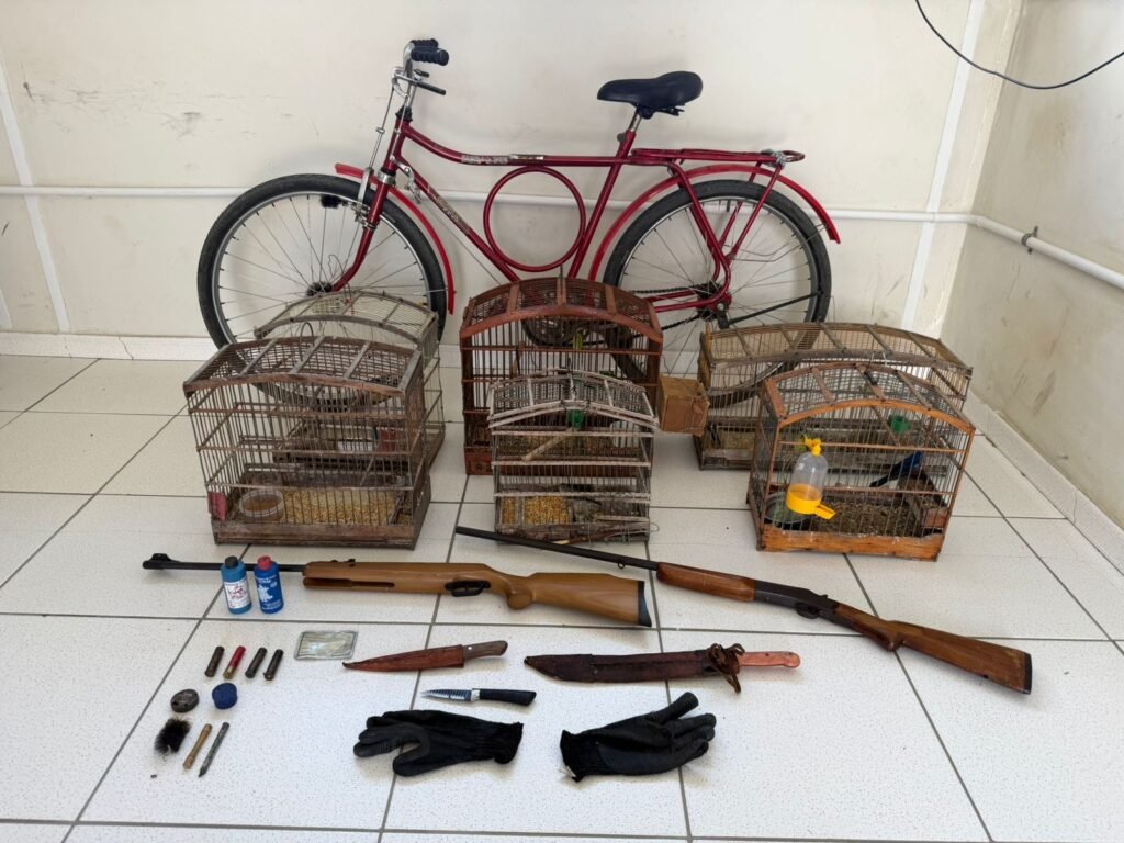 Após morte de cadela, Polícia Militar apreende arma e animais silvestres na zona rural de Capim Grosso