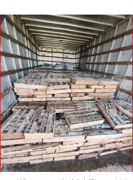 Nove toneladas de peixe são apreendidas em caminhão na Bahia