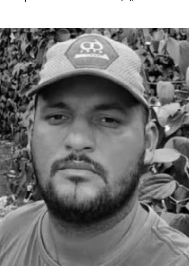 Homem morre após ser atingido por galhos de árvores durante poda na Bahia