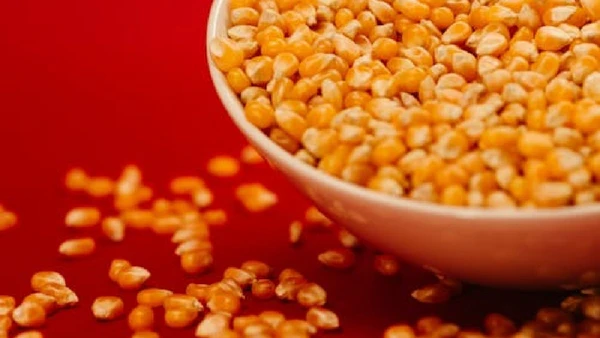 Anvisa proíbe marca de milho de pipoca por contaminação