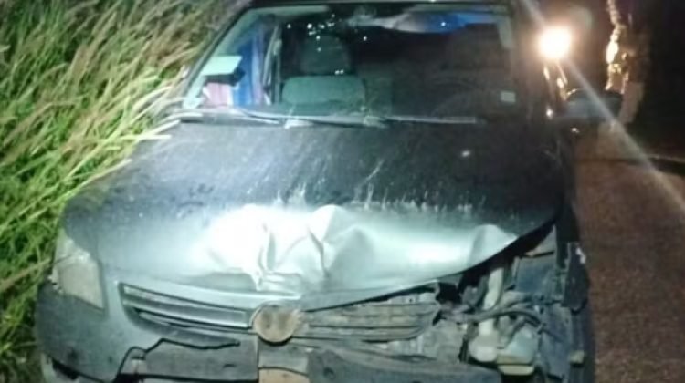 Adolescente aprende a dirigir com tutorial da internet, furta carro dos pais e viaja para encontrar garota que conheceu no Roblox