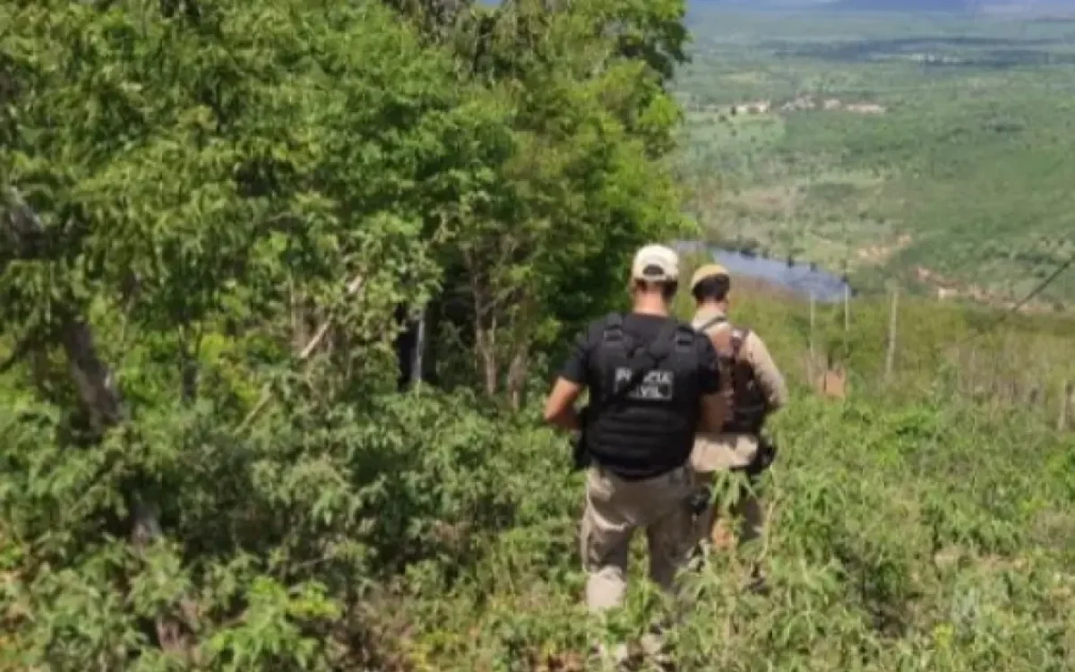 Briga por gaiola de pássaro termina em tragédia: trabalhador rural é morto a faca em Eunápolis