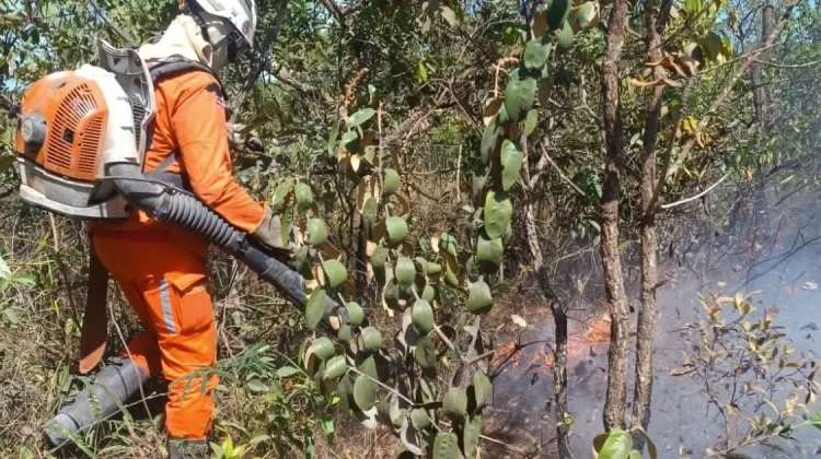 Bombeiros intensificam combate a incêndios no Extremo Oeste da Bahia em operação florestal
