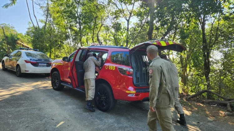 Restos humanos são achados em cemitério secreto do Comando Vermelho no Rio
