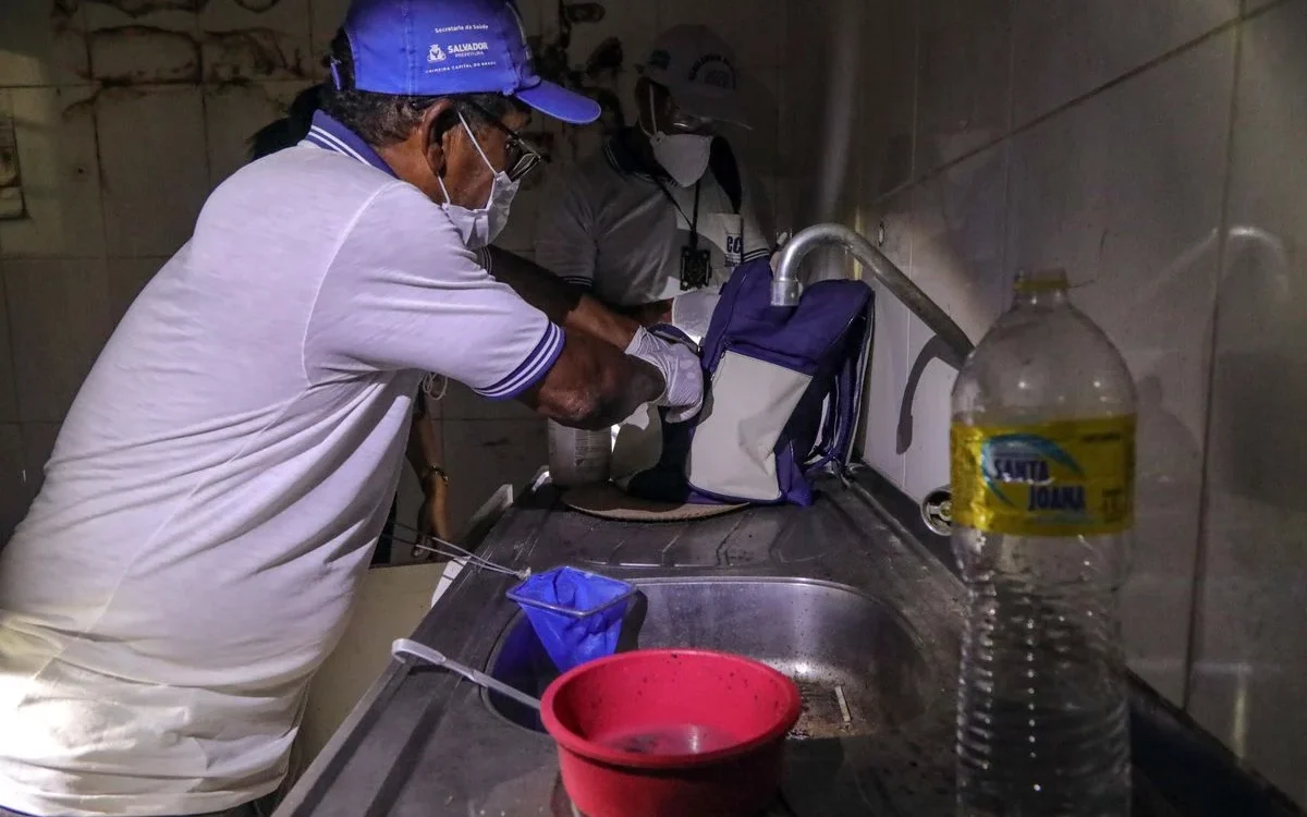 Bahia autoriza entrada forçada em imóveis para combate à dengue e outras doenças