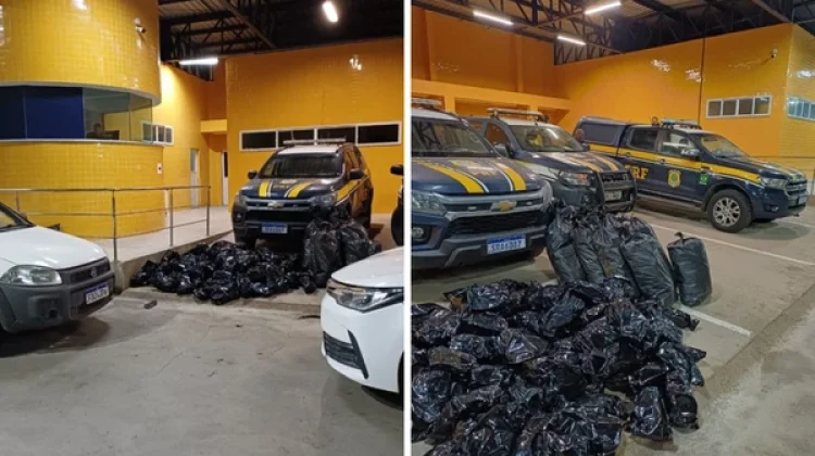 PRF intercepta comboio do tráfico e apreende mais de 100 kg de maconha na BR-324