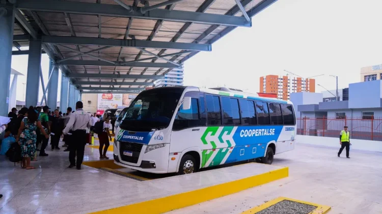 Eleições 2026: eleitores da Bahia terão passagens gratuitas de ônibus para votar no segundo turno; veja como solicitar