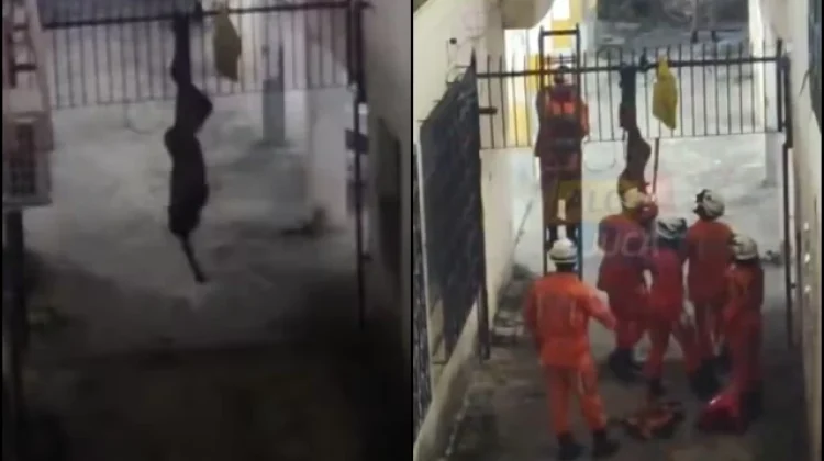 Homem suspeito de invadir prédio fica preso na grade do imóvel em bairro nobre de Salvador