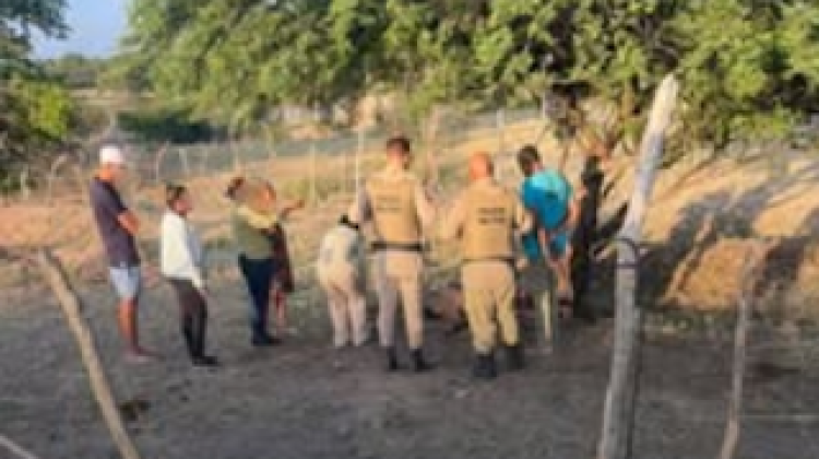 Corpo de homem é encontrado na manhã deste domingo em Filadélfia